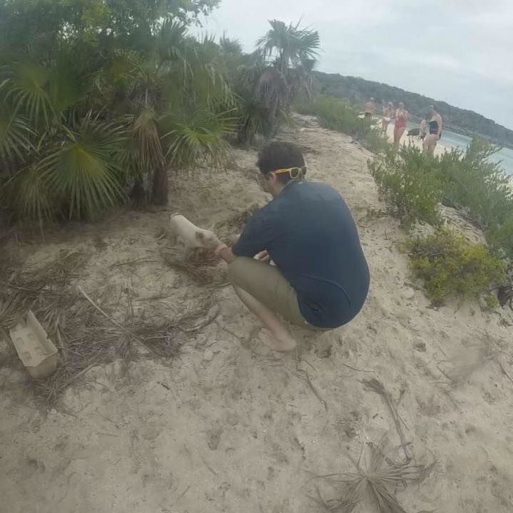 Meet your Posher, Frankie